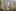 30951 Ext 08 Small